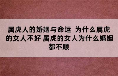 属虎人的婚姻与命运  为什么属虎的女人不好 属虎的女人为什么婚姻都不顺